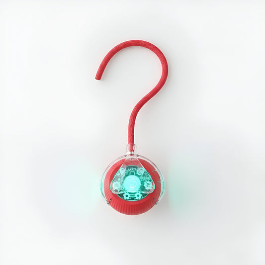 Zoomie's Interactive Ball